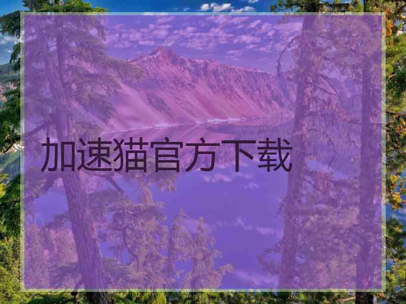加速猫官方下载